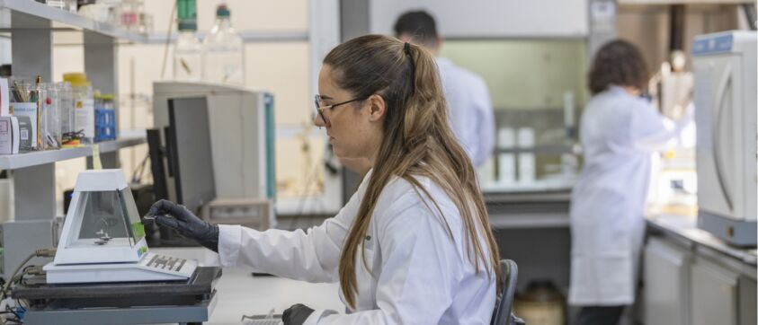 W2H2-LABORATORIO