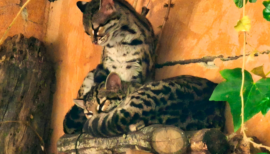 FOTOS WEB INTERMUNDO