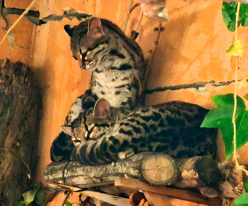 FOTOS WEB INTERMUNDO