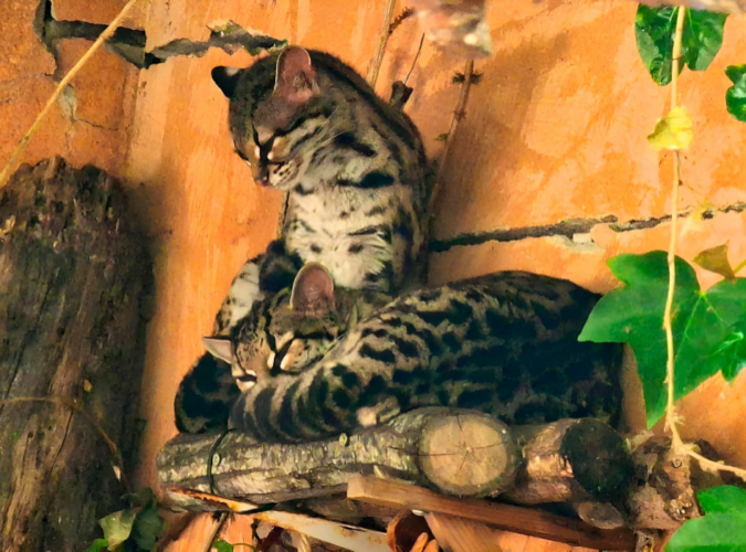 FOTOS WEB INTERMUNDO