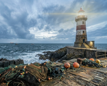 FOTOS WEB INTERMUNDO (16)